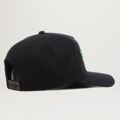 Pleasures Records Snapback (Assorted Colors)