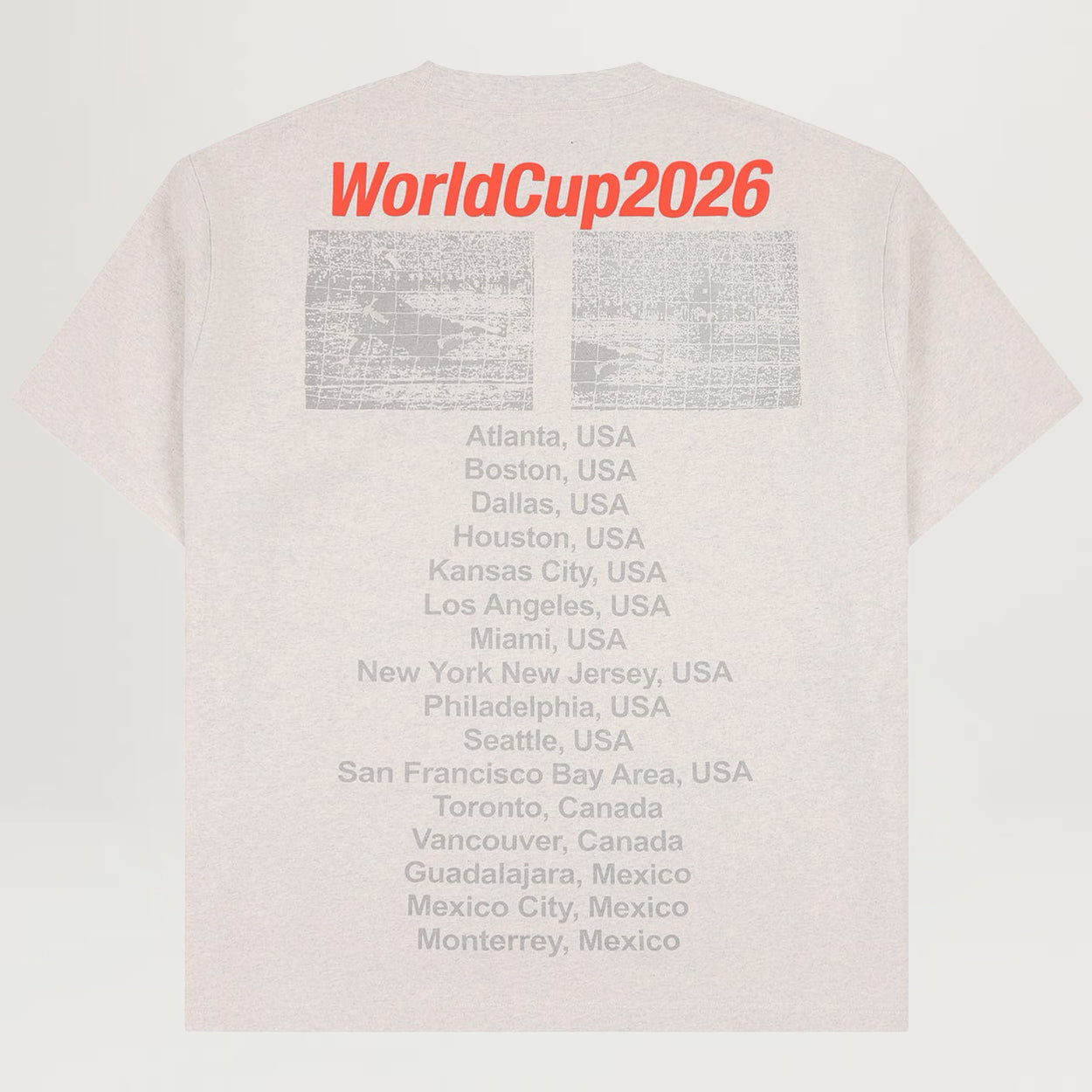 Pleasures Cup Heavyweight Tee (Ash Grey)
