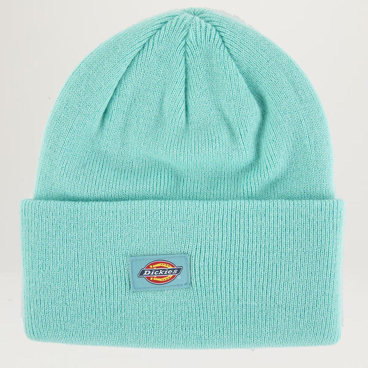 Dickies Beanie (Seafoam Green)