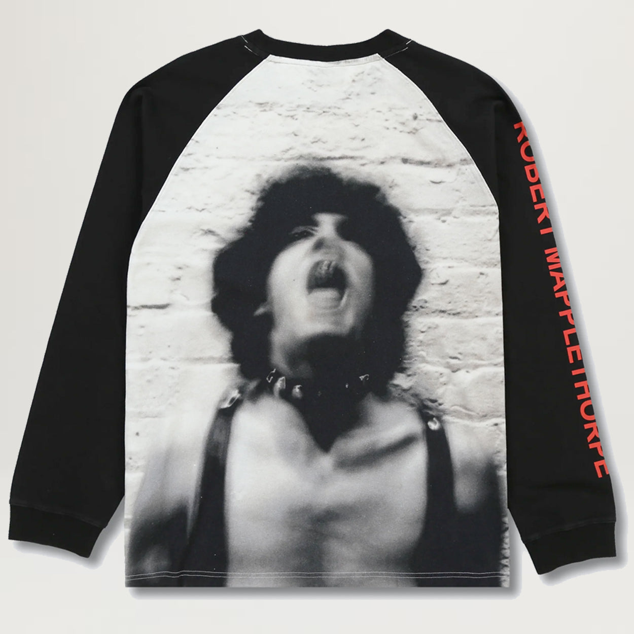 Pleasures Self Portrait Raglan L/S Tee (Black)